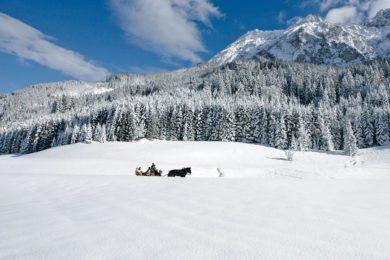 Pferdeschlittenfahrten - Winterurlaub in Wagrain, Ski amadé
